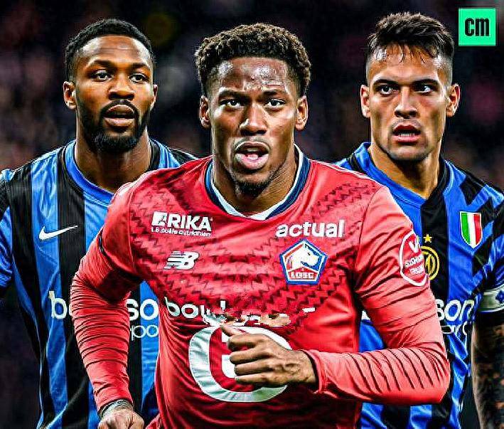 都是他们长 都是他们长